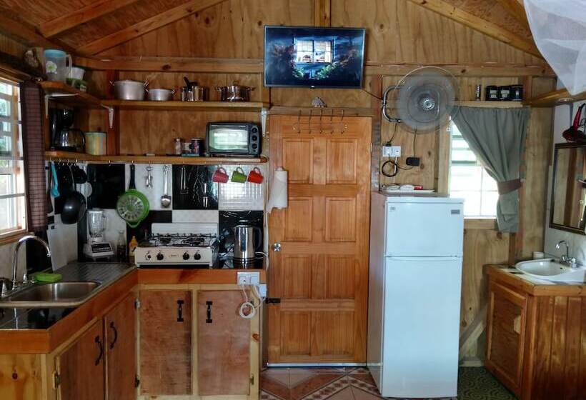 スタンダードスタジオ, Mainroad Suite