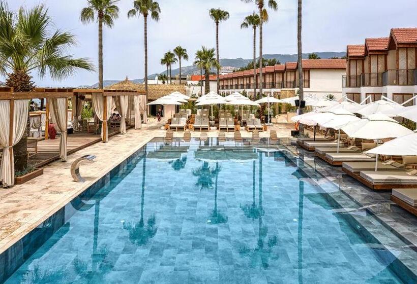 اتاق لوکس, Day One Beach Resort & Spa   Adult Only