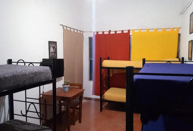 מיטה בחדר משותף, Coolraul Hostel