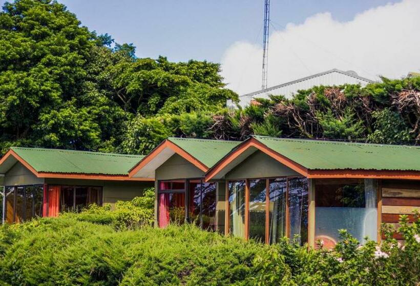 Хижина, Don Taco