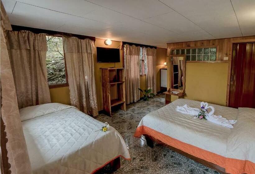 Номер Стандарт, Don Taco