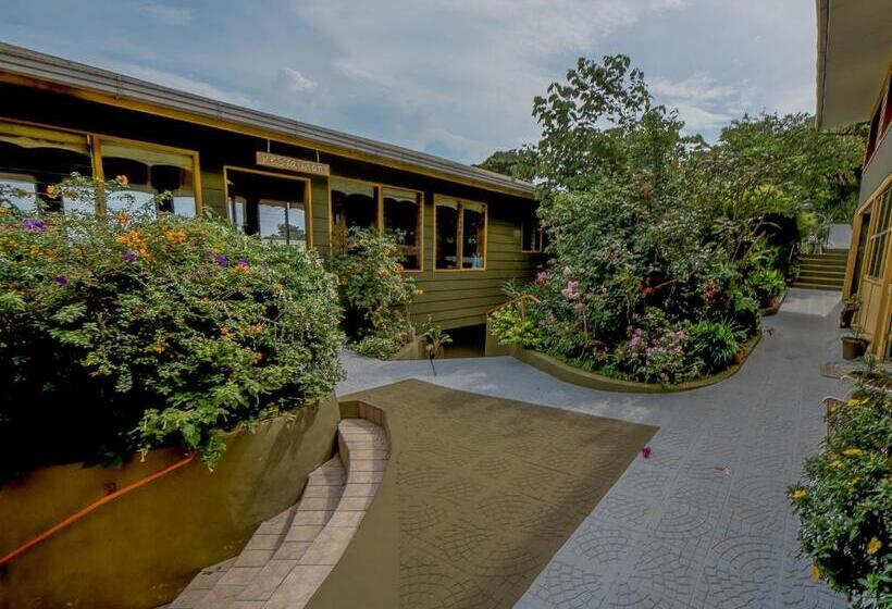 Номер Стандарт, Don Taco