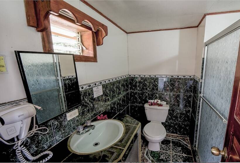 Номер Стандарт, Don Taco