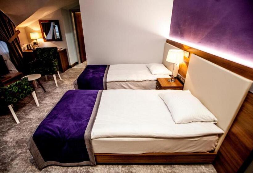 اتاق کلاسیک سه تخته, Business Palas