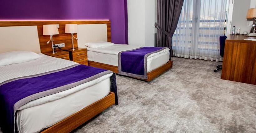 اتاق کلاسیک سه تخته, Business Palas