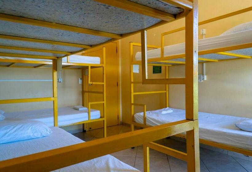 공동 객실, Green Haven Hostel