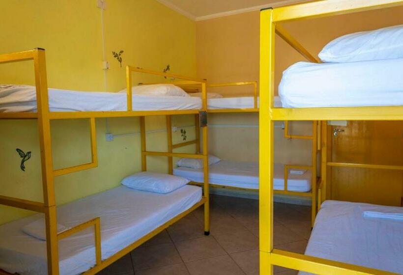 공동 객실, Green Haven Hostel