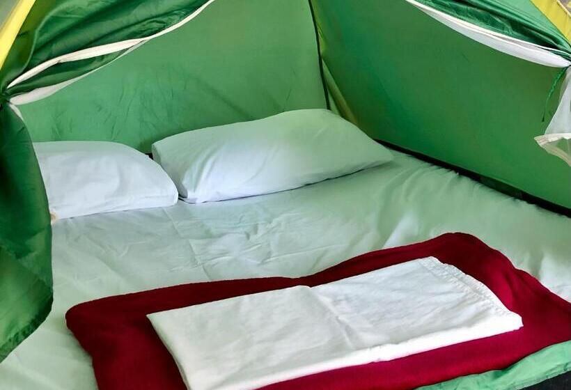 Standard Tent, Green Haven Hostel