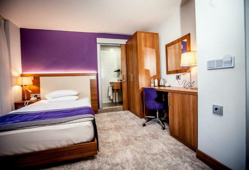 اتاق استاندارد یک نفره, Business Palas