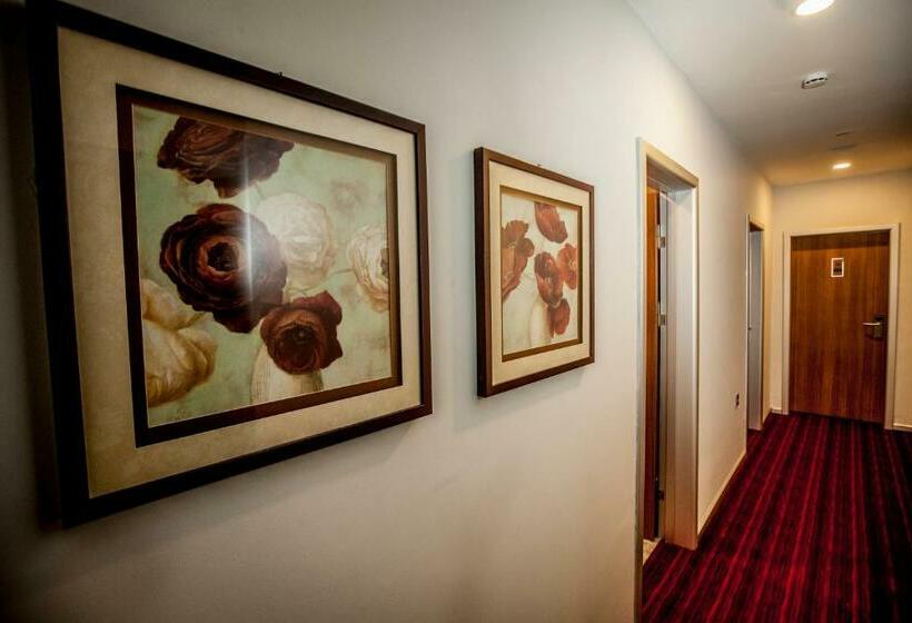 اتاق استاندارد یک نفره, Business Palas