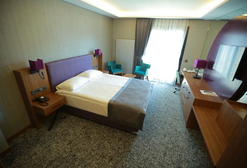 اتاق استاندارد, Business Palas