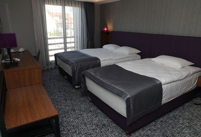 اتاق استاندارد, Business Palas