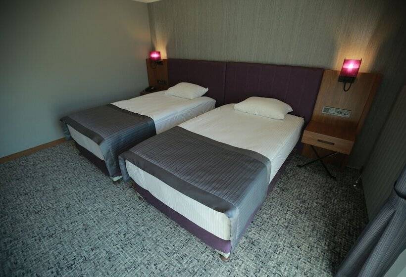 اتاق استاندارد, Business Palas