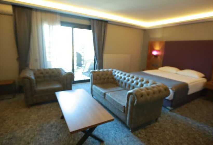 اتاق کلاسیک سه تخته, Business Palas