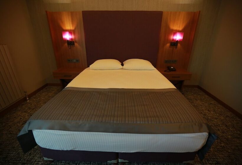 اتاق استاندارد یک نفره, Business Palas