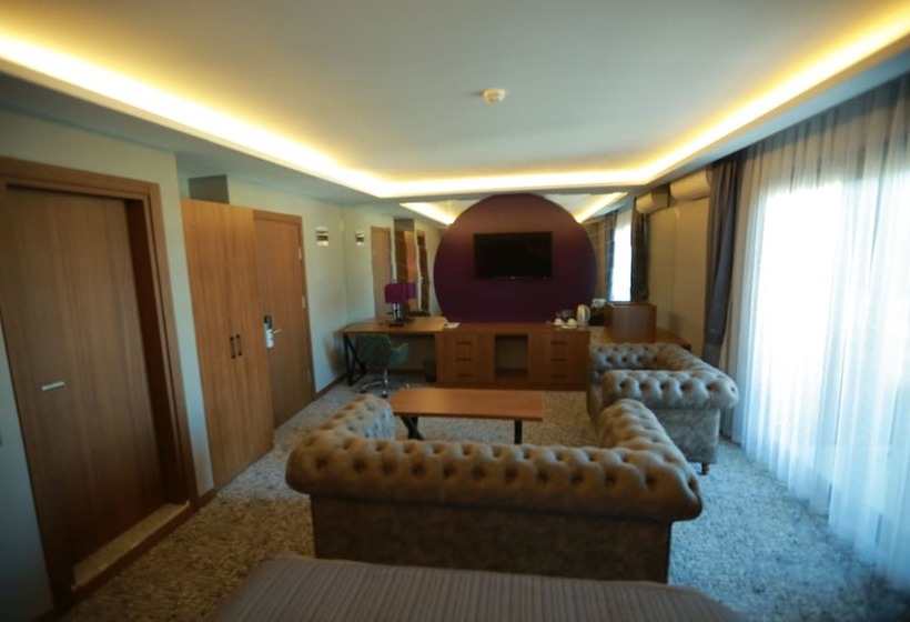 اتاق استاندارد یک نفره, Business Palas