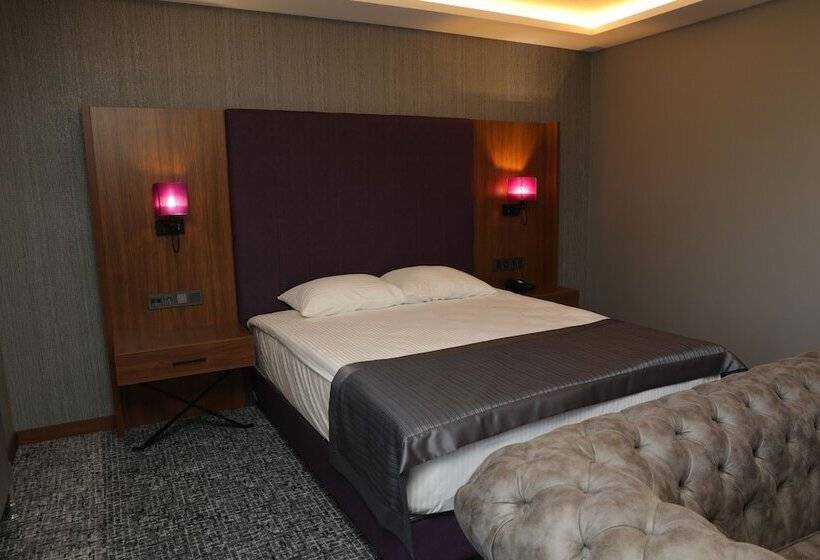 スタンダードシングルルーム, Business Palas