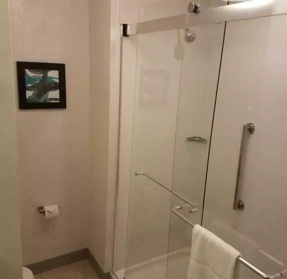 キングサイズベッドのデラックススイート, Hampton Inn & Suites Dallasthe Colony, Tx