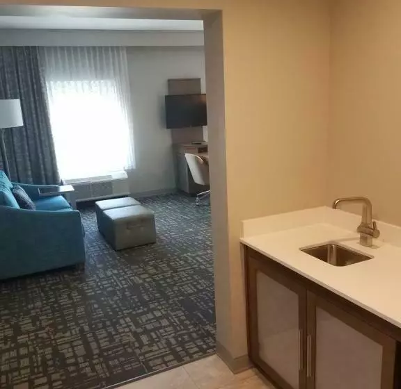 キングサイズベッドのスタンダードルーム, Hampton Inn & Suites Dallasthe Colony, Tx
