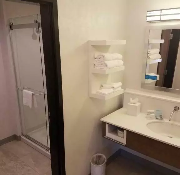 キングサイズベッドのスタンダードルーム, Hampton Inn & Suites Dallasthe Colony, Tx