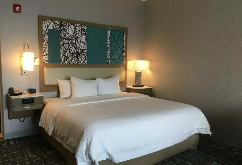 キングサイズベッドのスタンダードルーム, Hampton Inn & Suites Dallasthe Colony, Tx