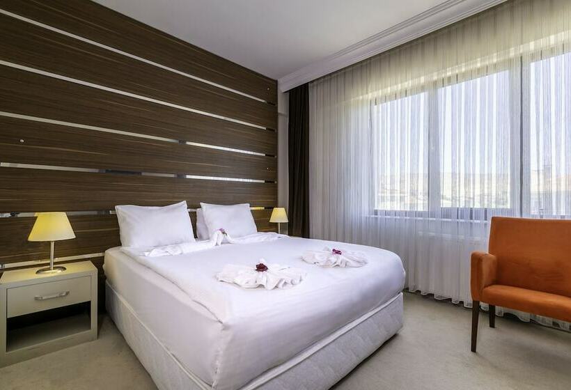 חדר סטנדרט, Janet Hotel 1