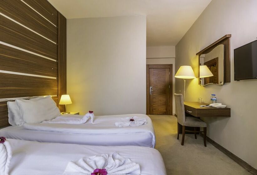 חדר סטנדרט, Janet Hotel 1