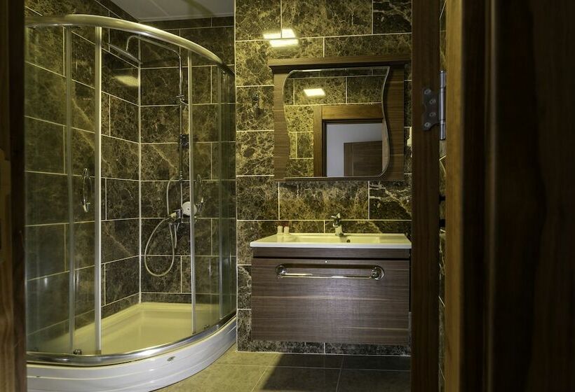 חדר סטנדרט, Janet Hotel 1