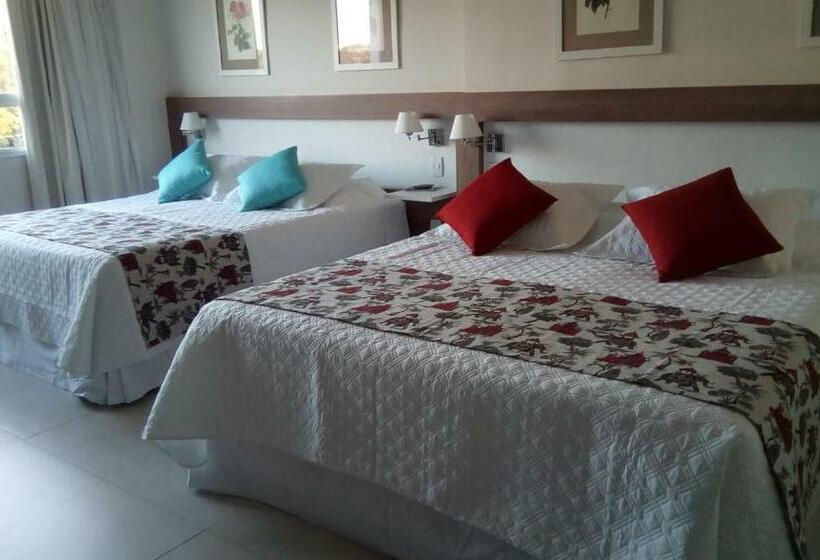 スタンダードルーム, Lirio D Agua