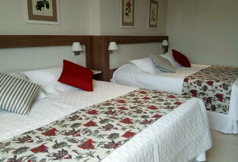 スタンダードルーム, Lirio D Agua