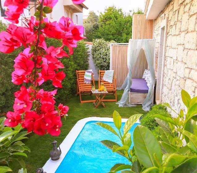 סוויטה דלוקס, Palas Alaçatı   Adult Only