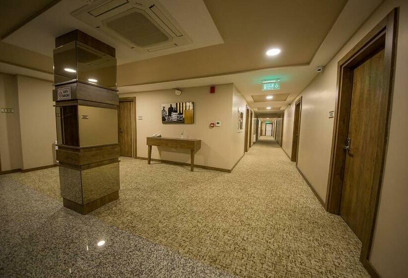 商务房间, White Star