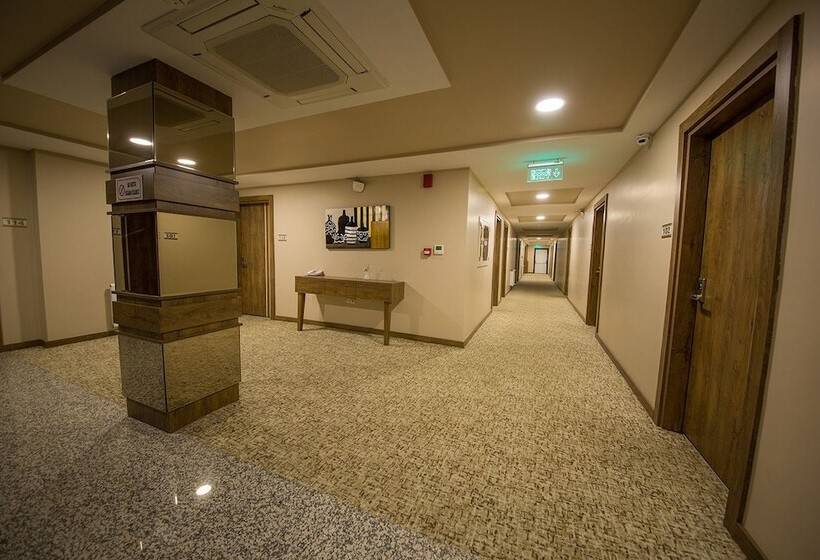 高级客房, White Star