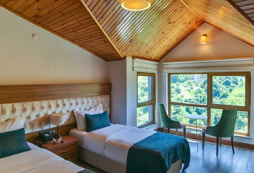 חדר סטנדרט, Amasra Diamond