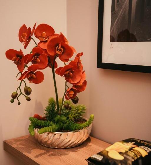 סוויטת סופריור, Occitano Apart