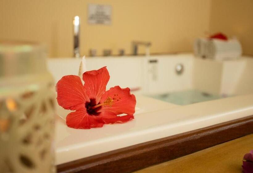 带大床的标准间, Beija Flor Exclusive Hotel & Spa