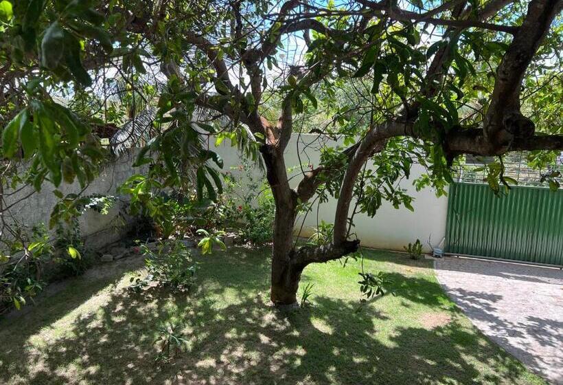 Номер Стандарт, Pipa Panorama Apart