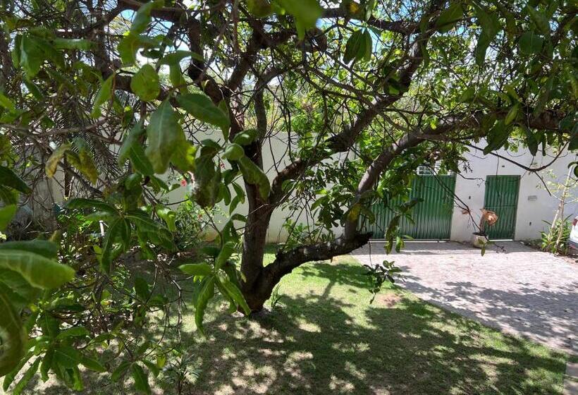 Номер Стандарт, Pipa Panorama Apart