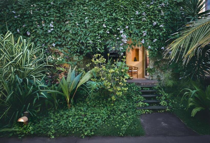 スイート, Zorah Beach