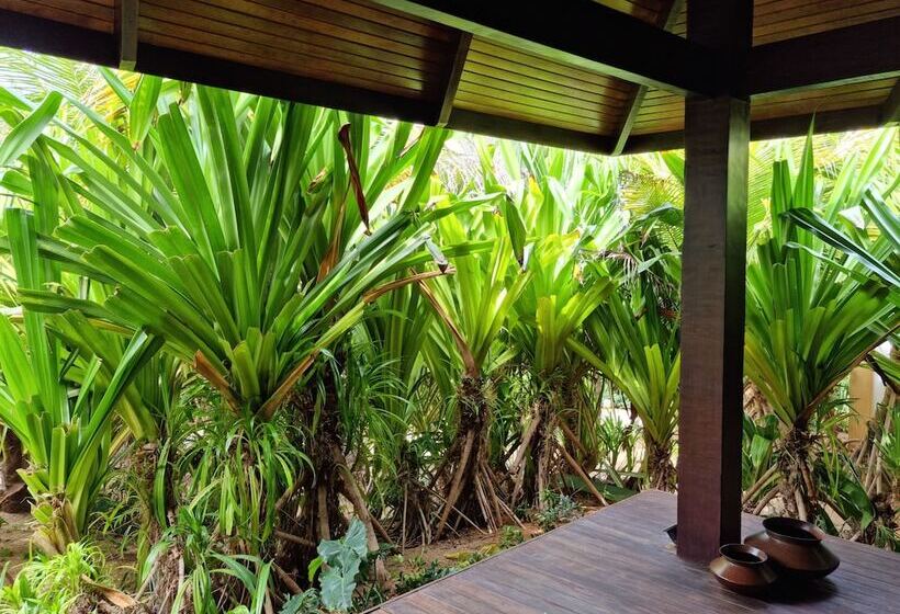 スタンダードバンガロー, Zorah Beach