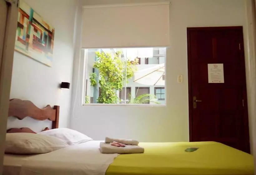Basic-huone, Mango Tree Ipanema