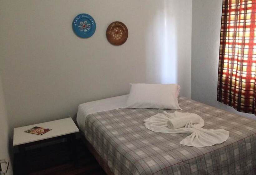 スタンダードルーム, Hermann