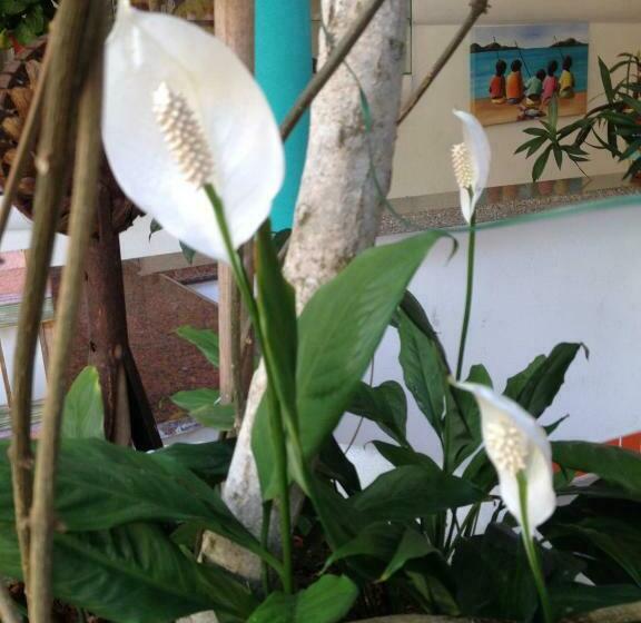 스탠다드 룸, Art Hotel Aos Sinos Dos Anjos