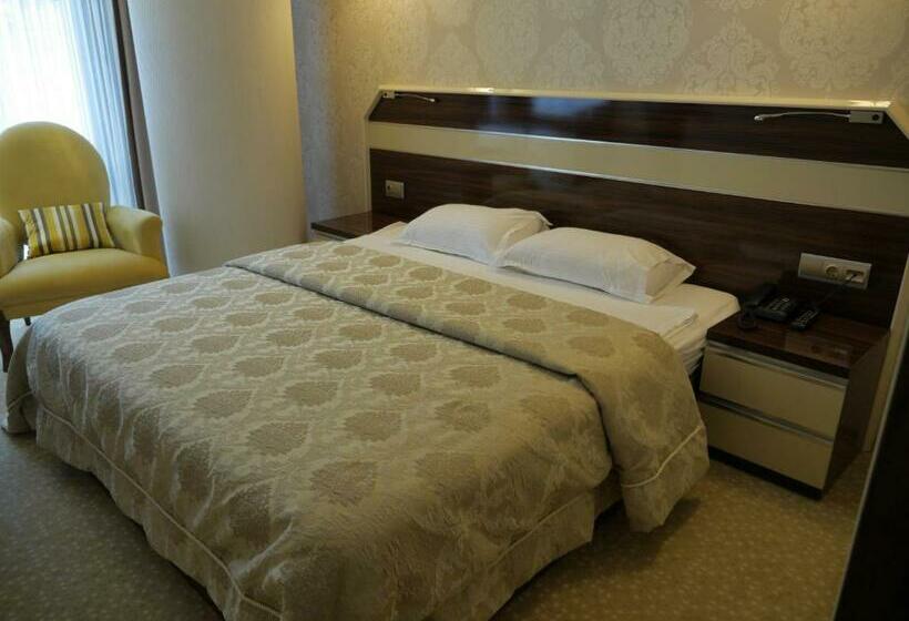 اتاق استاندارد, Armin