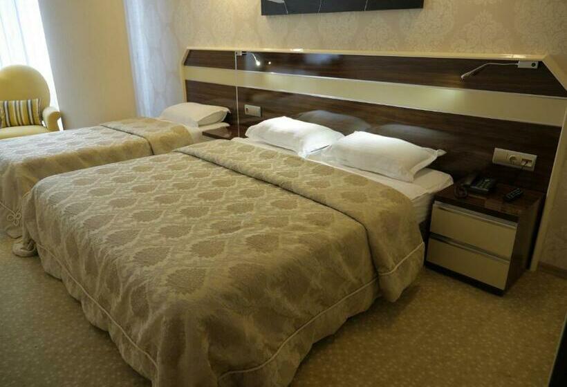 اتاق کلاسیک سه تخته, Armin