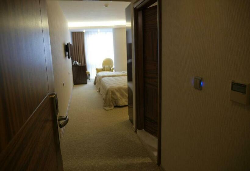 اتاق کلاسیک سه تخته, Armin