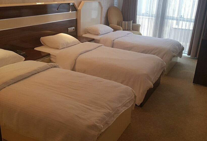 اتاق کلاسیک سه تخته, Armin