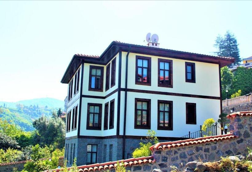 オーシャンビューデラックスルーム, Mehmet Efendi Mansion &