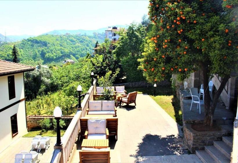 オーシャンビュースタンダードルーム, Mehmet Efendi Mansion &