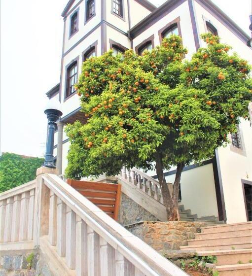 オーシャンビュースタンダードルーム, Mehmet Efendi Mansion &